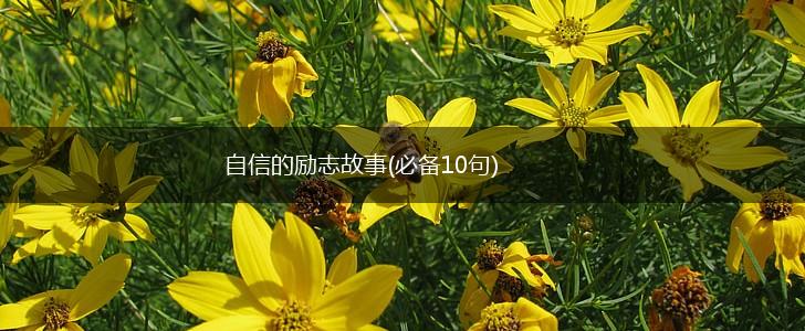 自信的励志故事(必备10句),第1张