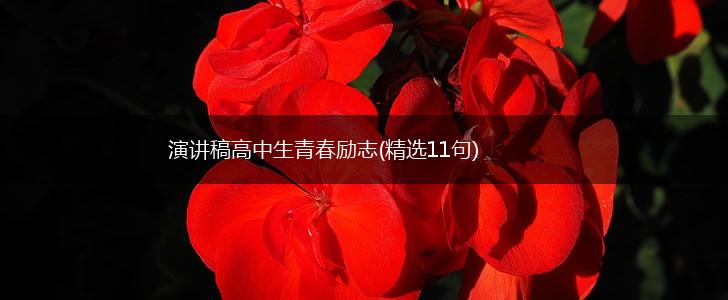 演讲稿高中生青春励志(精选11句),第1张