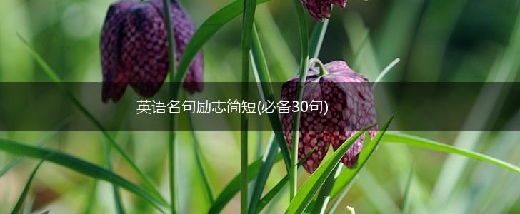 英语名句励志简短(必备30句),第1张