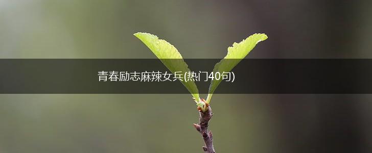 青春励志麻辣女兵(热门40句),第1张