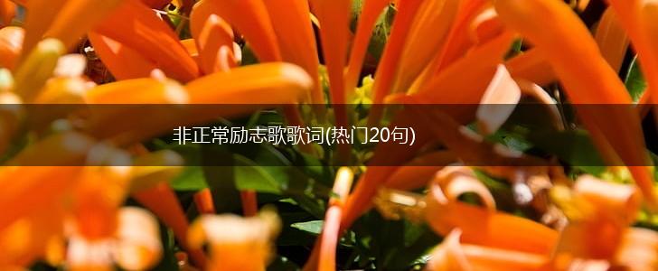 非正常励志歌歌词(热门20句),第1张