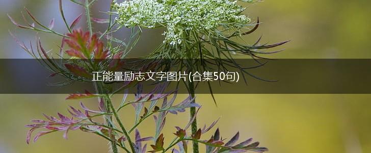 正能量励志文字图片(合集50句),第1张