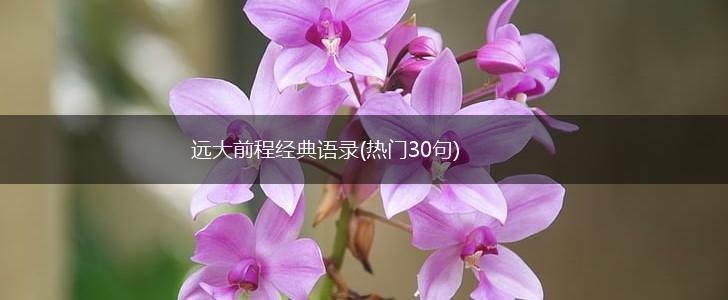 远大前程经典语录(热门30句),第1张