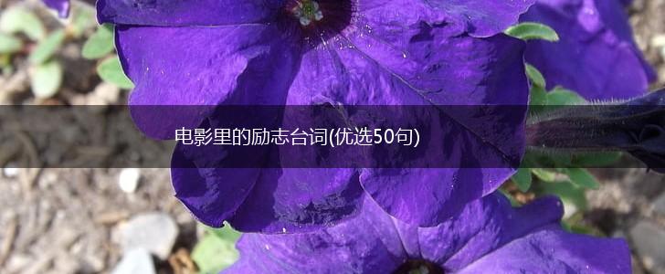 电影里的励志台词(优选50句),第1张
