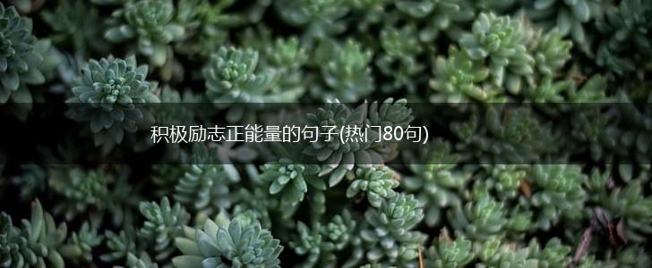 积极励志正能量的句子(热门80句),第1张