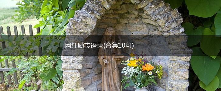网红励志语录(合集10句),第1张 网红励志语录(合集10句),第1张