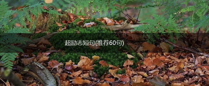 超励志短句(推荐60句),第1张