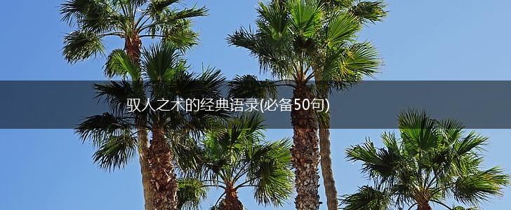 驭人之术的经典语录(必备50句),第1张