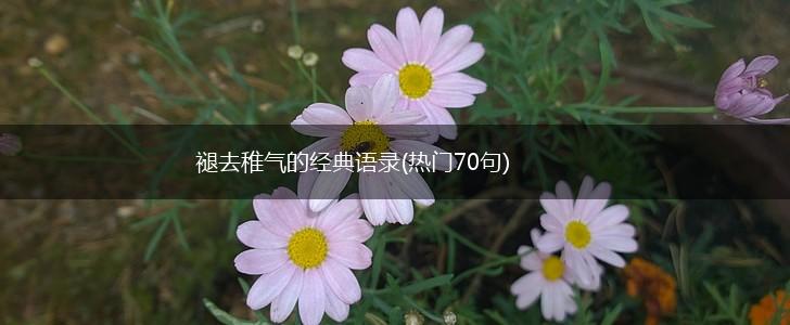 褪去稚气的经典语录(热门70句),第1张