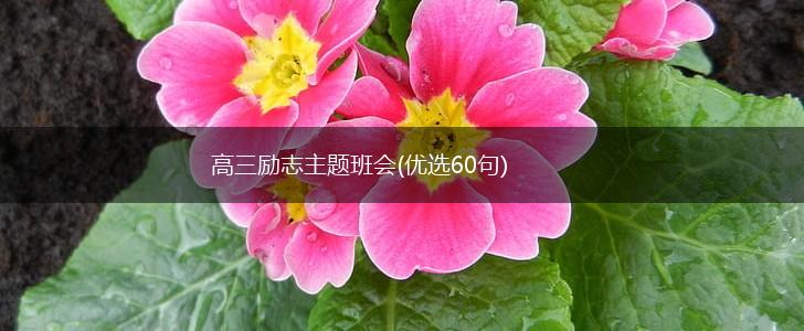 高三励志主题班会(优选60句),第1张