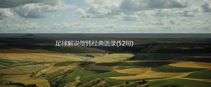 足球解说贺炜经典语录(52句),第1张