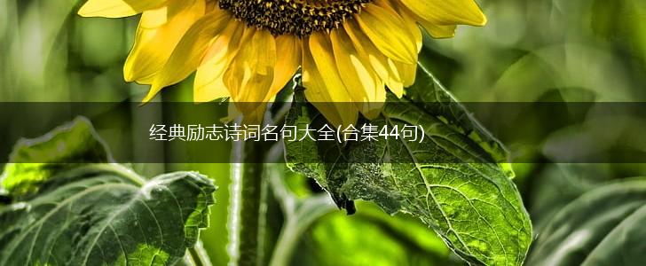 经典励志诗词名句大全(合集44句),第1张 经典励志诗词名句大全(合集44句),第1张