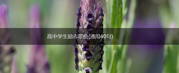 高中学生励志歌曲(通用40句),第1张