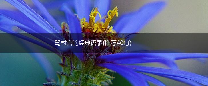 骂村官的经典语录(推荐40句),第1张