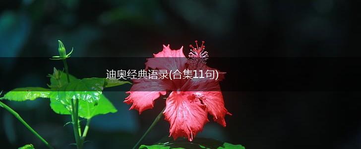 迪奥经典语录(合集11句),第1张