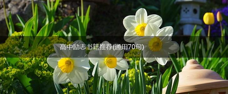 高中励志书籍推荐(通用70句),第1张