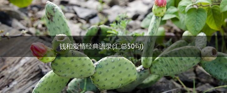 钱和爱情经典语录(汇总50句),第1张
