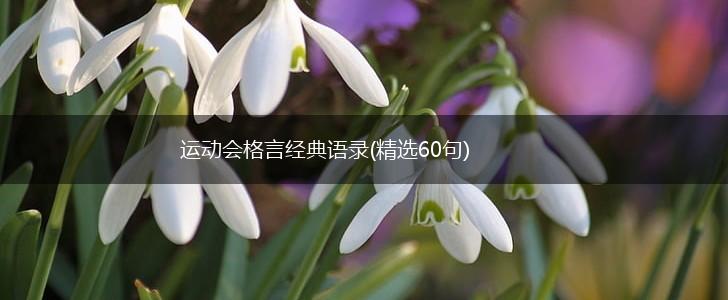 运动会格言经典语录(精选60句),第1张