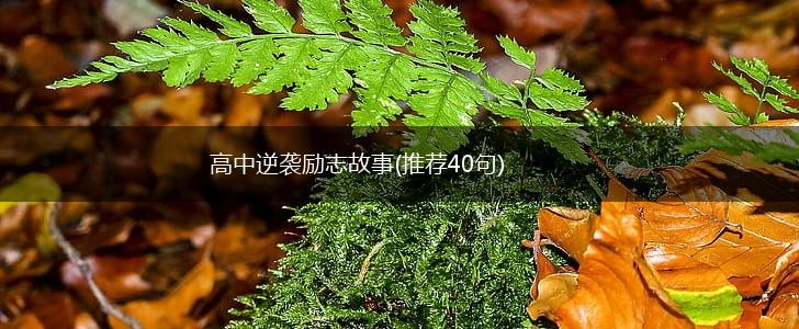 高中逆袭励志故事(推荐40句),第1张