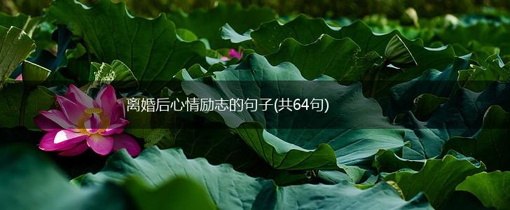 离婚后心情励志的句子(共64句),第1张 离婚后心情励志的句子(共64句),第1张