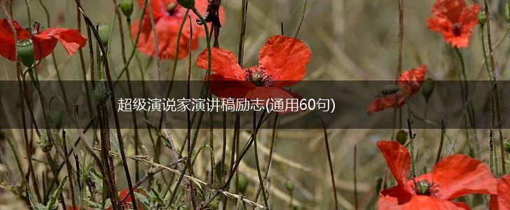 超级演说家演讲稿励志(通用60句),第1张