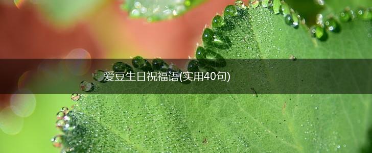 爱豆生日祝福语(实用40句),第1张