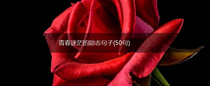 青春迷茫的励志句子(50句),第1张