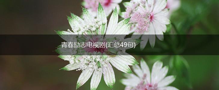 青春励志电视剧(汇总49句),第1张