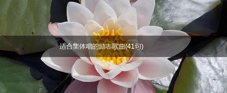 适合集体唱的励志歌曲(41句),第1张