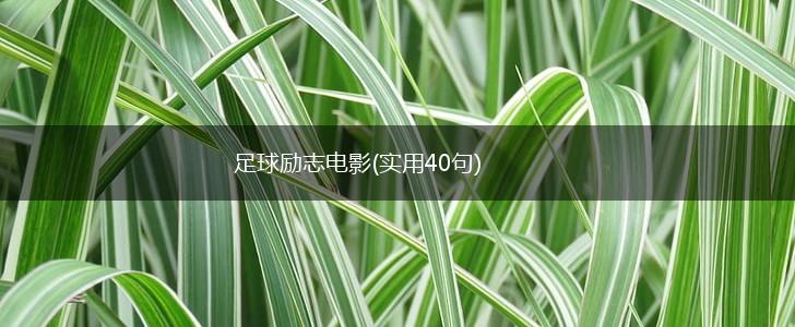 足球励志电影(实用40句),第1张