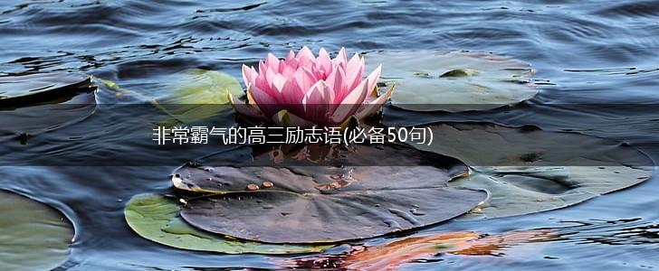 非常霸气的高三励志语(必备50句),第1张