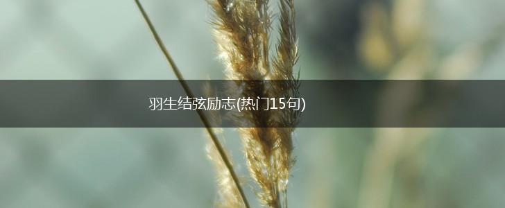 羽生结弦励志(热门15句),第1张 羽生结弦励志(热门15句),第1张