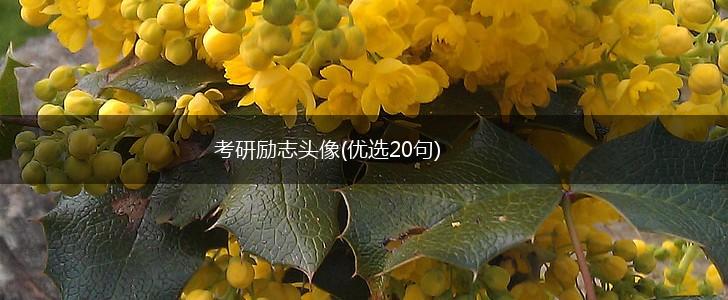 考研励志头像(优选20句),第1张 考研励志头像(优选20句),第1张