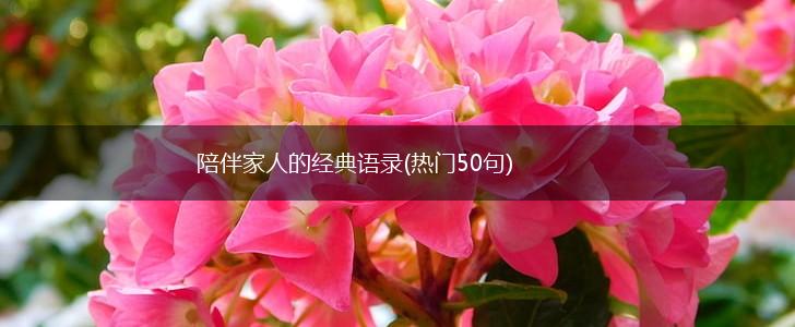 陪伴家人的经典语录(热门50句),第1张