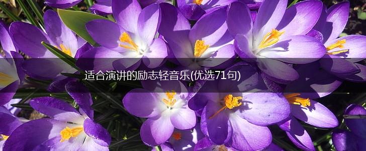 适合演讲的励志轻音乐(优选71句),第1张