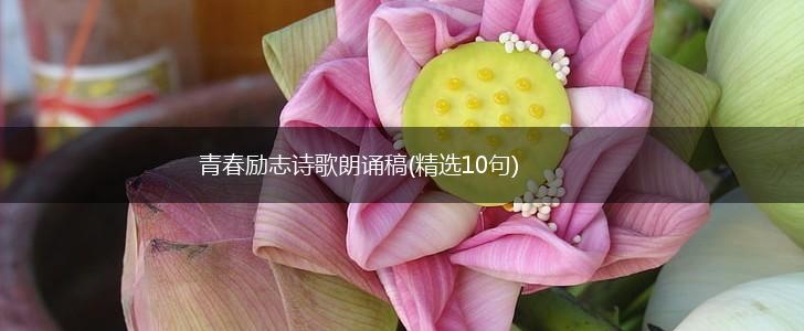 青春励志诗歌朗诵稿(精选10句),第1张