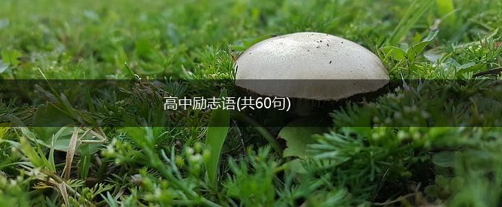 高中励志语(共60句),第1张
