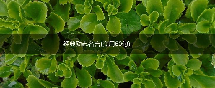 经典励志名言(实用60句),第1张 经典励志名言(实用60句),第1张