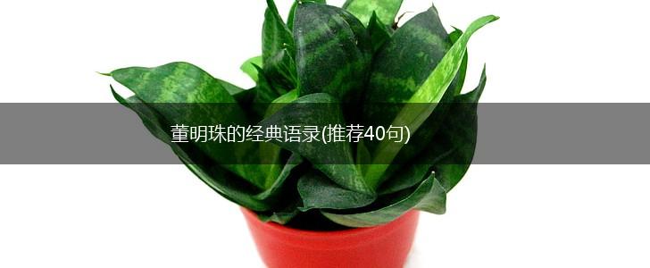 董明珠的经典语录(推荐40句),第1张 董明珠的经典语录(推荐40句),第1张