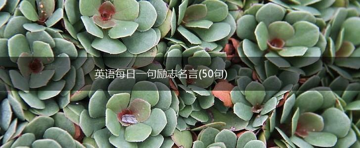 英语每日一句励志名言(50句),第1张