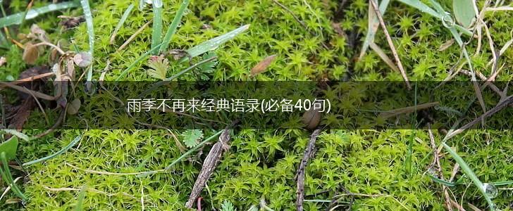 雨季不再来经典语录(必备40句),第1张