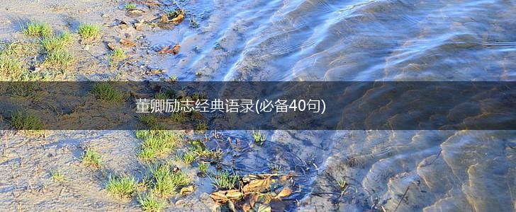 董卿励志经典语录(必备40句),第1张 董卿励志经典语录(必备40句),第1张