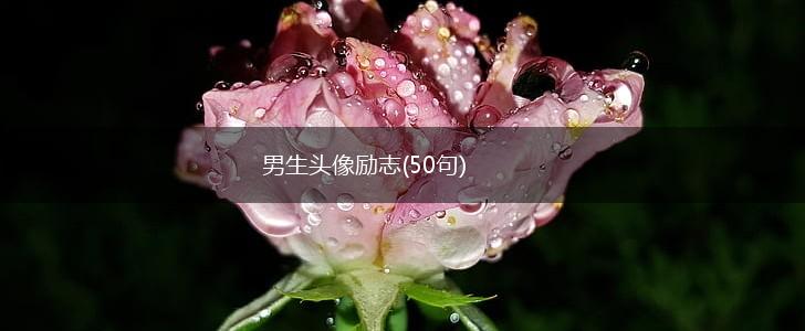 男生头像励志(50句),第1张 男生头像励志(50句),第1张