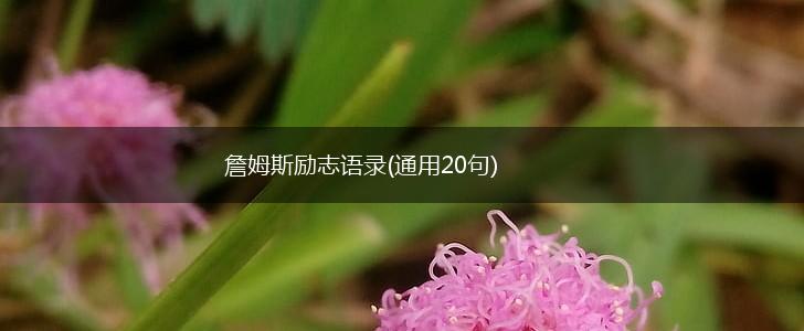 詹姆斯励志语录(通用20句),第1张