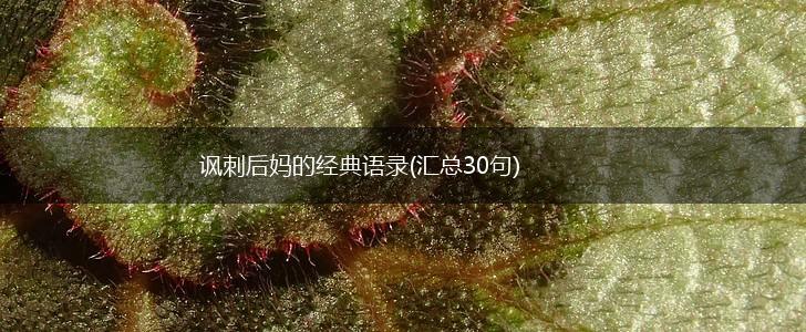 讽刺后妈的经典语录(汇总30句),第1张