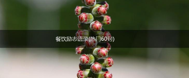 餐饮励志语录(热门60句),第1张