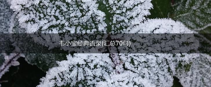 韦小宝经典语录(汇总70句),第1张