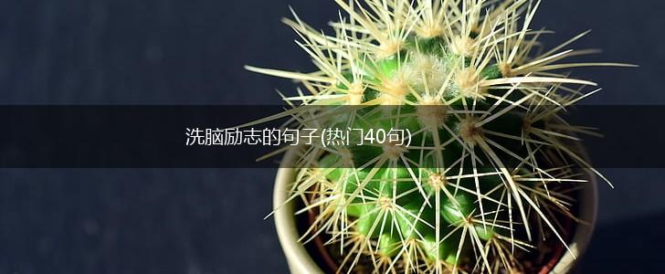 洗脑励志的句子(热门40句),第1张
