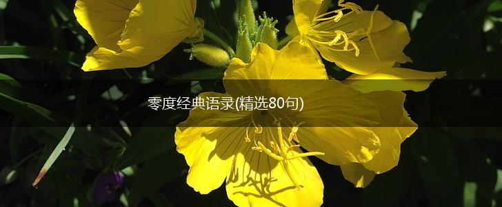 零度经典语录(精选80句),第1张