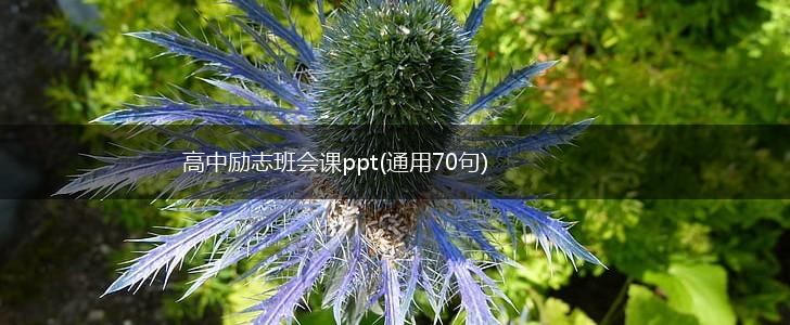 高中励志班会课ppt(通用70句),第1张